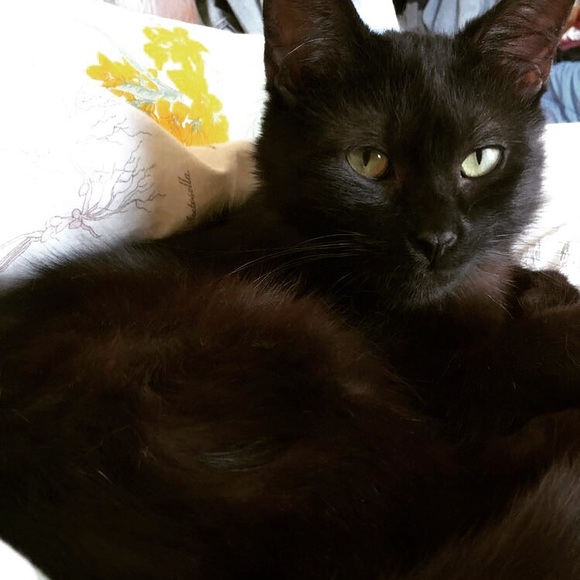 Meet your Posher, Kiara/Kieran - Picture 5 of 7